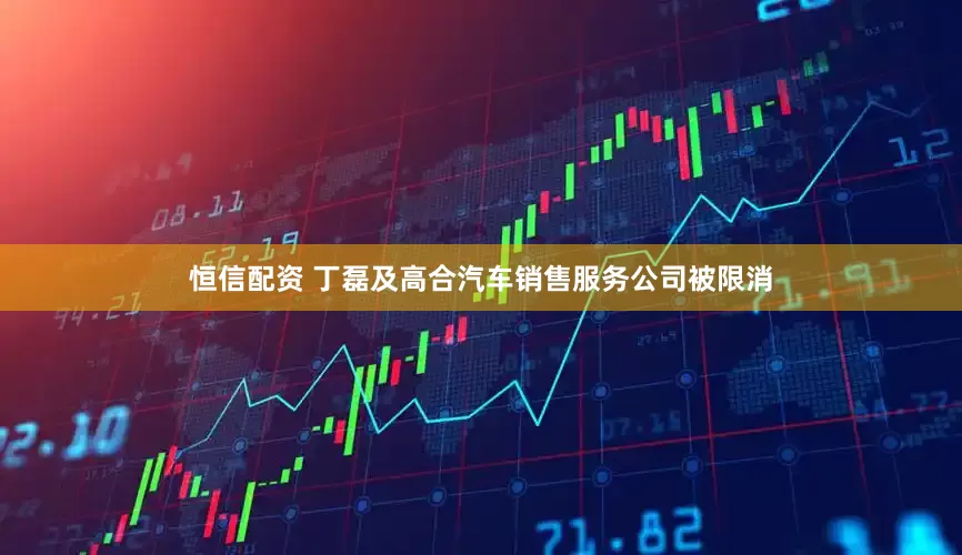 恒信配资 丁磊及高合汽车销售服务公司被限消